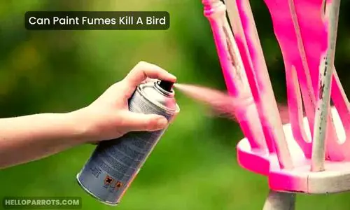 Can Paint Fumes Kill A Bird