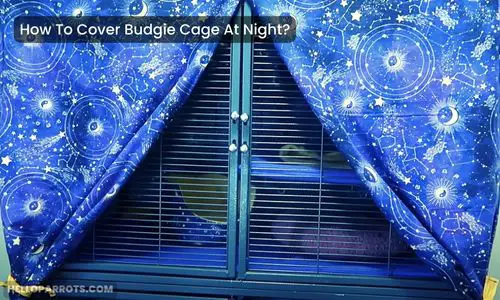 How To Cover Budgie Cage At Night